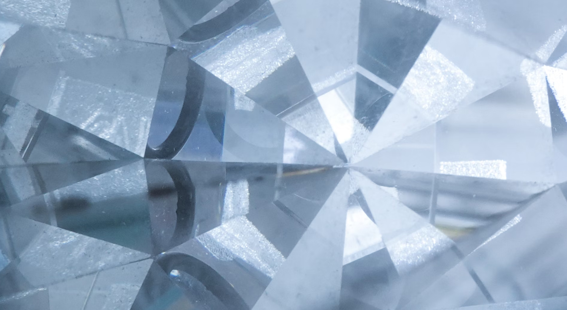 Purus dolor ad mollis